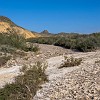 025DSC00407 : Big Bend Ranch State Park