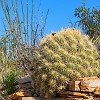 026DSC00411 : Big Bend Ranch State Park