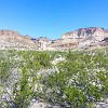 Leaving the park, we headed to the River Road (FM 170). Ao sair do parque, fomos para a Estrada do Rio (FM 170). : Big Bend Ranch State Park