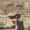 153DSC00599 : Big Bend Ranch State Park