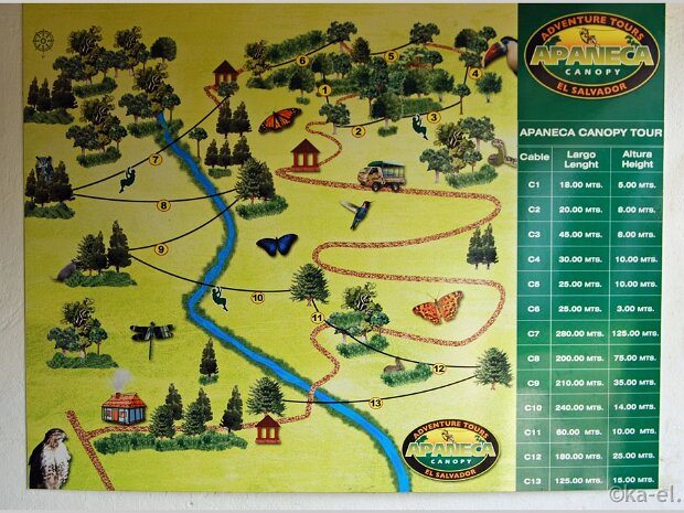 Zipline Canopy Tour