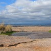 IMG_0139