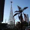 DSC02956