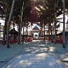 Fortal2010-026
