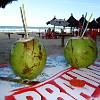 Fortal2010-038