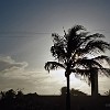 Fortal2010-042