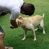 Fortal2010-056