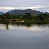 Fortal2010-072
