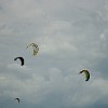 Fortal2010-097
