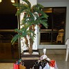 Fortal2010-214