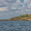 BR 136 DSC02919