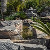 The Brazil-Japan Garden. : Fortaleza