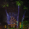Christmas lights at hotels and condo buildings. : Fortaleza