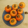 The nut outside the plate is a cashew (before it's roasted and peeled). Cashews grow in large trees, and you can actually eat the yellowish/reddish part of the fruit. : Fortaleza