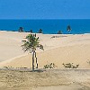 One of the many attractions in the area is to tour these sand dunes in a dune buggie. : Family, Fortaleza, familia