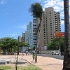 fortaleza37
