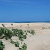 Icaraí and Cumbuco Beaches