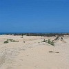 fortaleza45