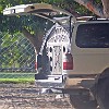 Loudspeaker on back of 4Runner
