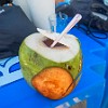 Coconut water anyone? Alguém quer água de coco? : Fortaleza