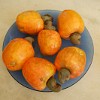 Cashews. Cajus. : Fortaleza