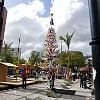 This year's Christmas tree was made up of hammocks. Este ano a árvore de Natal foi feita de redes.