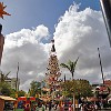 008DSC00014