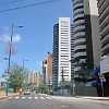 042DSC 2037