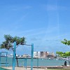 055DSC 2038