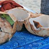After drinking the coconut water, we eat the pulp. Depois de beber a água de côco a gente se delicia com a polpa.