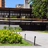 113DSC 2083