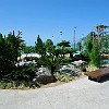 137DSC00051