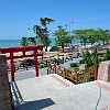 140DSC00054