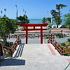 141DSC00053