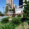 146DSC00059
