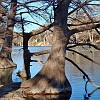 garner2007_09