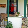 Deer always get to the flower pots no matter what. Veados sempre encontram um meio de chegar aos vasos de flores para comê-las.