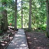 The start of the trail is a boardwalk loop. O começo da trilha é nessa passarela em círculo.