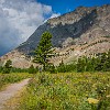 Shortly after the trailhead, we climbed about 500 ft in less than a mile. : Apikuni Falls, Glacier NP, vacation 2014