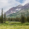 GNP2014 052 DSC03327 : Aster Park, Glacier NP, vacation 2014