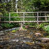 Crossing Aster Creek. Atravessando o Riacho Aster. : Aster Park, Glacier NP, vacation 2014