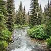 Paradise Creek. Riacho do Paraíso. : Glacier NP, Rockwell Falls, vacation 2014