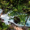 Then the trail goes parallel to Avalanche Creek. Então a trilha segue paralela ao riacho Avalanche. : Avalanche Lake, Glacier NP, vacation 2014