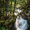 Beautiful waterfalls are along the trail. Lindas cascatas estão ao longo do caminho. : Avalanche Lake, Glacier NP, vacation 2014