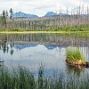 Our roundtrip hike was 3.5 miles, and we were warned about bears and moose in the area. Nossa caminhada de ida e volta foi de 5,5 km e sabíamos que poderíamos nos deparar com a presença de ursos e alces. : Glacier NP, Howe Lake, vacation 2014