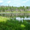 Since we had a bit of time before sunset, we decided to go to Howe Lake. Como ainda tínhamos tempo antes do por-do-sol, decidimos ir até o Lago Howe. : Glacier NP, Howe Lake, vacation 2014