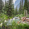 After leaving the lake we decided to take a different, unplanned route to Feather Plume Falls. Depois de sairmos do lago, decidimos tomar um caminho diferente que não tínhamos planejado para as Quedas das Plumas de Penas. : Feather Plume Falls, Glacier NP, vacation 2014