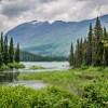 GNP2014 250 DSC03643 : Feather Plume Falls, Glacier NP, vacation 2014