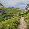 GNP2014 348 DSC03767 : Glacier NP, Highline Trail, vacation 2014