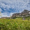 GNP2014 349 DSC03768 : Glacier NP, Highline Trail, vacation 2014
